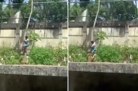 Quién era el joven que entró a la jaula de una leona en Brasil y falleció tras ser atacado por el animal