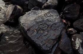 Sequía extrema en la Amazonía revela rostros tallados en piedras de dos mil años