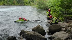 Búsqueda de joven desaparecido en Panguipulli: refuerzan rastreos en río Los Ñadis y suman perros entrenados de la PDI y Carabineros