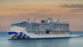 Qué es el norovirus, el brote que enfermó a 115 personas en un crucero