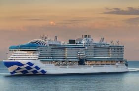 Qué es el norovirus, el brote que enfermó a 115 personas en un crucero