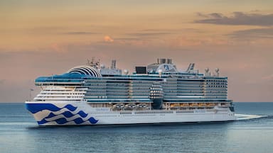 Qué es el norovirus, el brote que enfermó a 115 personas en un crucero