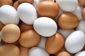 Guía para elegir y cocinar huevos