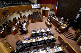 Senado aprueba por unanimidad bonos a Pymes que incluye a comerciantes de ferias libres