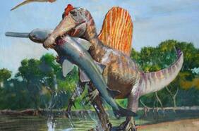 Medía 15 metros y tenía mandíbulas de cocodrilo: Así era el mayor depredador sobre la Tierra