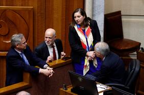 Reforma electoral: Senado aprueba veto y Elizalde aboga por reformar a futuro sufragio de extranjeros