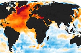 Columna de Fabrice Lambert: ¿Por qué la mitigación del cambio climático es importante para Chile?
