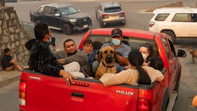 Zoom a los casi 1.700 voluntarios por los incendios del sur: quiénes son, qué hacen y cuántos quedan