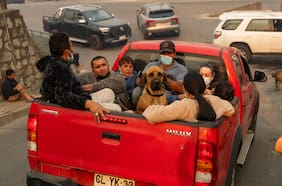Zoom a los casi 1.700 voluntarios por los incendios del sur: quiénes son, qué hacen y cuántos quedan