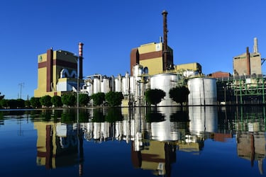 Trabajador desaparece al interior de planta CMPC en Laja