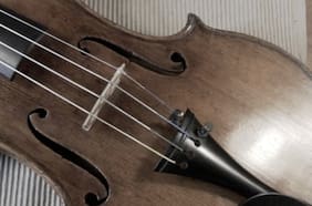 Músico fabricó el primer violín libre de material animal