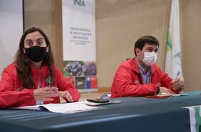 Ministra de Agricultura por situación del agro en O’Higgins y el Maule: “Es inminente la declaración de emergencia”