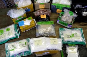 La crisis del fentanilo que llevó a Portland a declarar el estado de emergencia