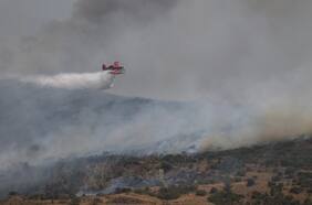 Incendios en Grecia llegan a las afueras de Atenas y la Unión Europea registra récord de emisiones
