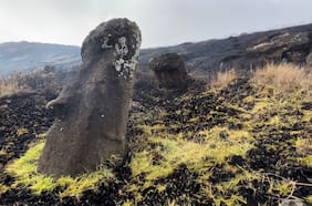 Declaran alerta amarilla en Isla de Pascua por incendio forestal cercano a área protegida