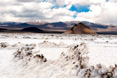 imagen-salar-de-maricunga-05