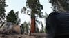 Trump pretende abrir los bosques nacionales de EE.UU. a la construcción de carreteras, perforación y tala de árboles