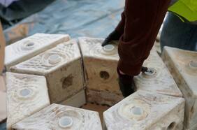 Presentan innovadora técnica de construcción de casas con bloques impresos en 3D a base de hongos