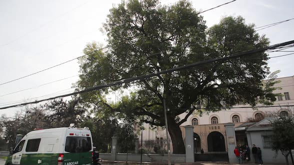 Nuevos incidentes en el INBA terminan con agresión a docente con un martillo