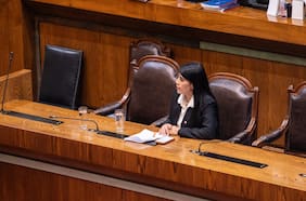 “Insuficiente y no resuelve nada”: la reacción de la Sociedad de Investigadores a la reforma a Becas Chile de Lincolao