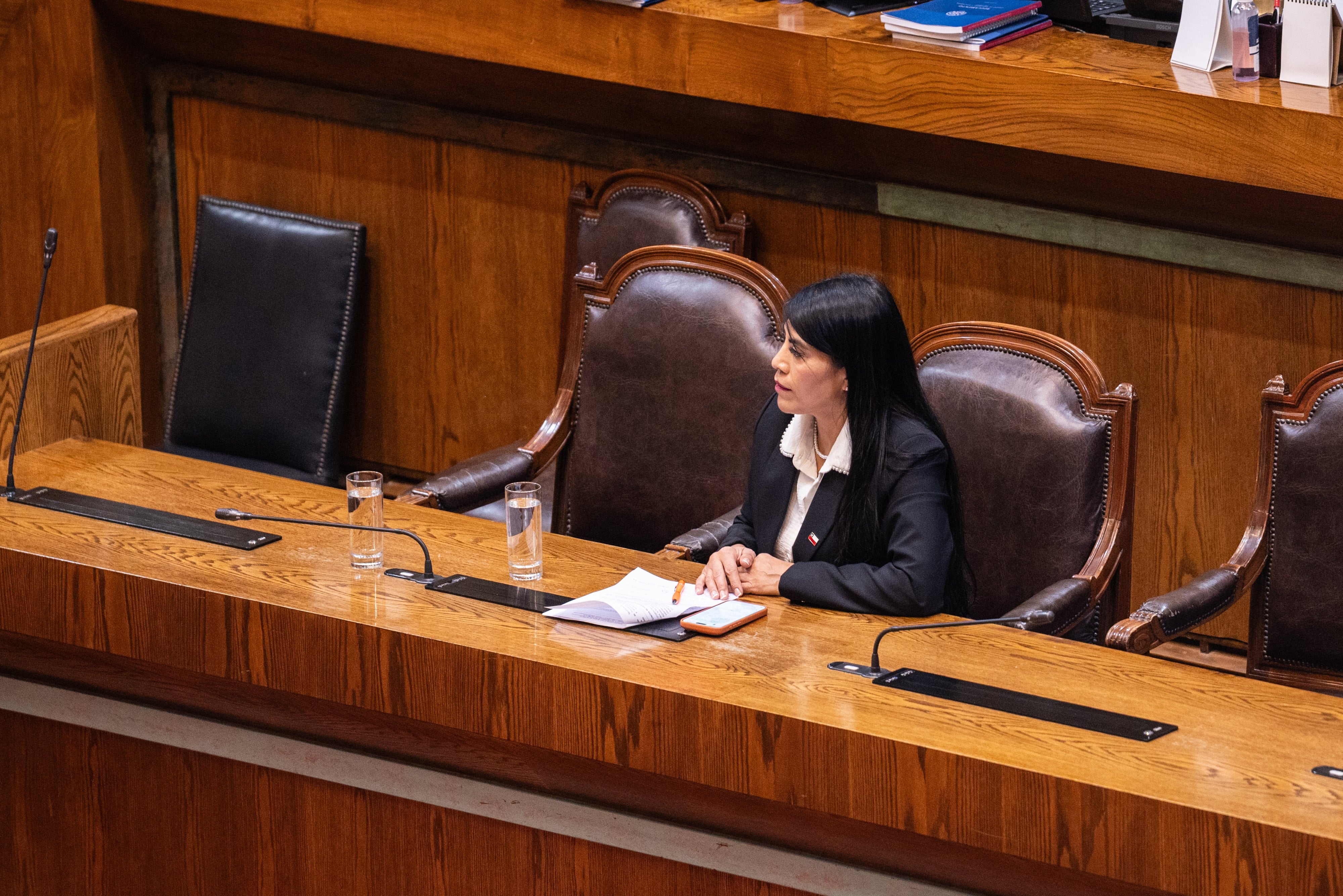 “Insuficiente y no resuelve nada”: la reacción de la Sociedad de Investigadores a la reforma a Becas Chile de Lincolao
