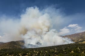 Un total de nueve incendios forestales se mantienen en combate a nivel nacional