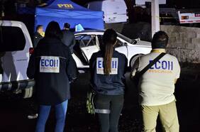 Realizaban homicidios por encargo y tenían de mascota a una pitón: prisión preventiva para 3 venezolanos miembros de peligrosa banda en Antofagasta