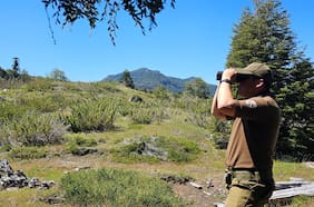 Iba a reunión de apoderados: hombre de 35 años lleva nueve días desaparecido en Longaví
