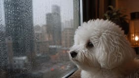 En qué regiones de Chile habrá lluvia desde hoy hasta el domingo, según el pronóstico del tiempo