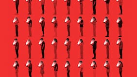 Lecciones de un algoritmo adolescente