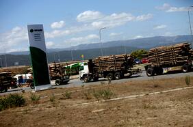 Qué dice el mercado tras el cierre de la planta de Arauco en Licantén y el impacto del cambio climático