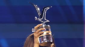 El galardón más esquivo de Viña: quiénes integran el selecto grupo de ganadores de la Gaviota de Platino