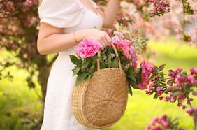 Adiós al invierno: ¿Cuándo empieza oficialmente la primavera?