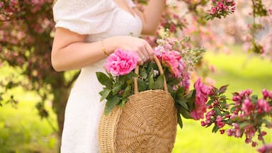 Adiós al invierno: ¿Cuándo empieza oficialmente la primavera?