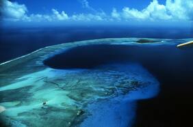 Atolón Bikini: el refugio marino que se originó tras las pruebas nucleares