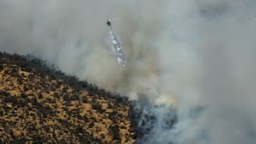 Uso de herramientas en faenas y líneas eléctricas: Conaf detalla las principales causas de los incendios forestales