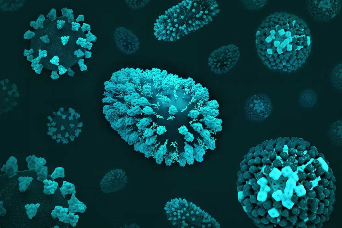 Las 5 infecciones responsables de más de 2 millones de casos de cáncer, según un estudio