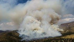Asociación Parque Cordillera anuncia querella tras hallazgo de colillas que habrían originado incendio en Las Condes