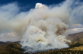 Asociación Parque Cordillera anuncia querella tras hallazgo de colillas que habrían originado incendio en Las Condes