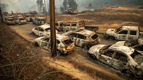 El fuego casi triplica su huella: incendios forestales arrasan 207% más territorio que el año pasado