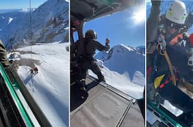 Carabineros rescató a un hombre y su perro extraviados en la alta montaña