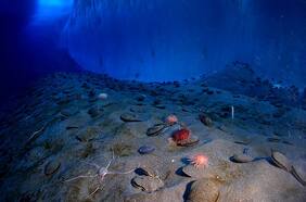 Made in Chile: barco de investigación pesquera y oceanográfica estudiará el fondo marino con métodos acústicos