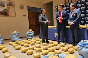 Operativo policial desarticula banda dedicada al tráfico de drogas: cinco detenidos y 390 kilos de drogas incautados en Calama