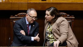 Vodanovic (PS), tras cita con ministro García Ruminot, confirma rechazo de oposición a reforma de seguridad: “Es innecesaria”