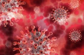 El temible ciclo del coronavirus: nacimiento, replicación y... ¿extinción?