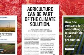 Nueva York está dando una ardua batalla contra el greenwashing