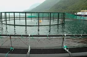 Columna de César Barros: De Chile a Noruega