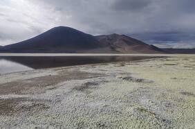 Columna de Maria de Lucia Vitón Albet: “¿El origen del litio es volcánico?”