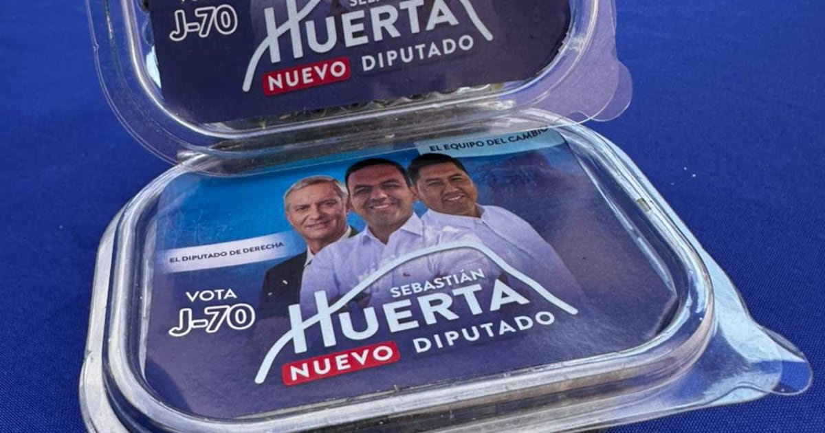 Dirigentes UDI piden al Tribunal Supremo que se pronuncie por apoyo del candidato Sebastián Huerta a Kast