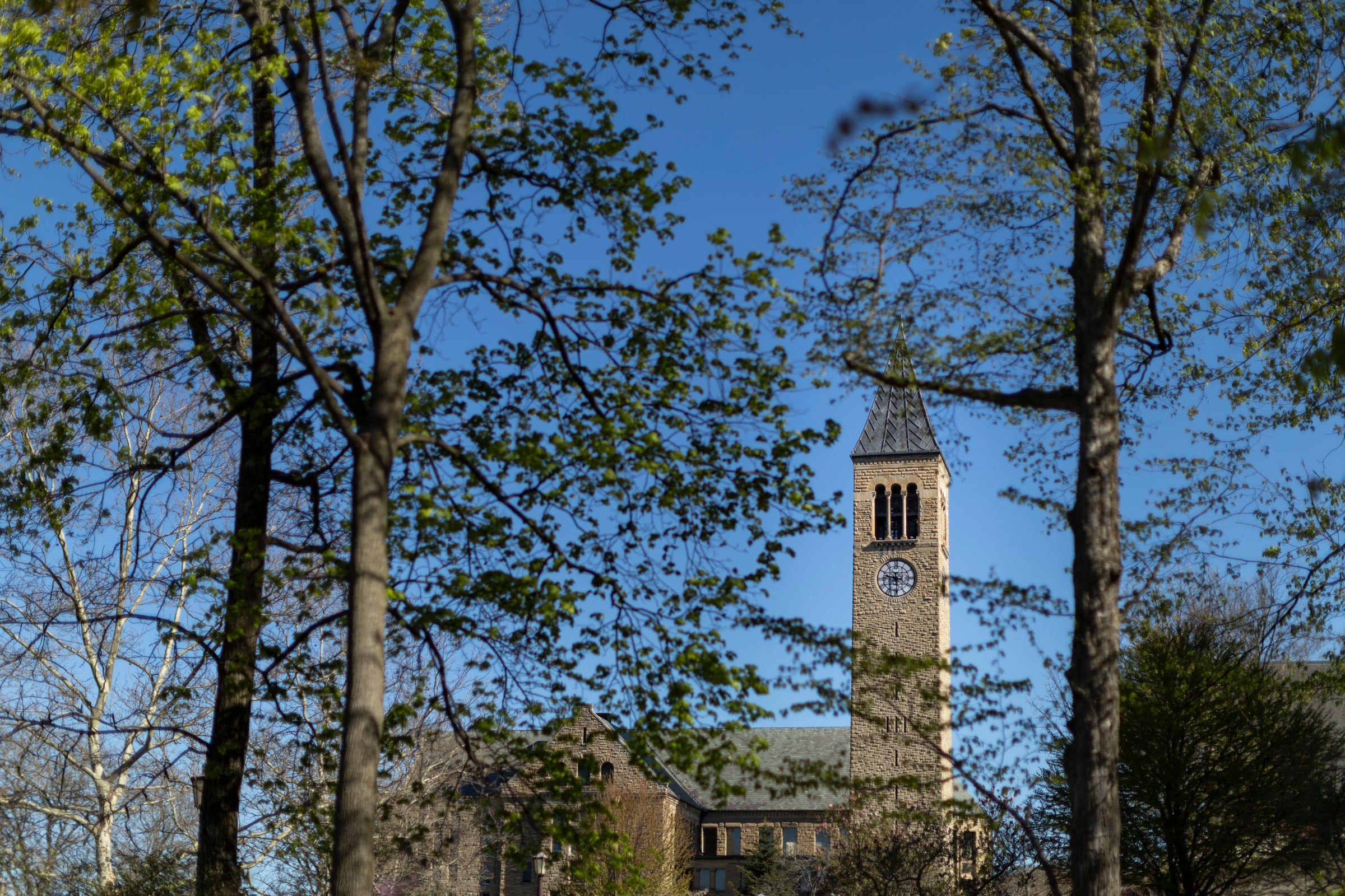 Imagen de @Cornell en X